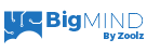 BigMIND_Business_Logo_48
