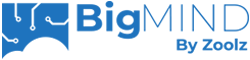 BigMind logo
